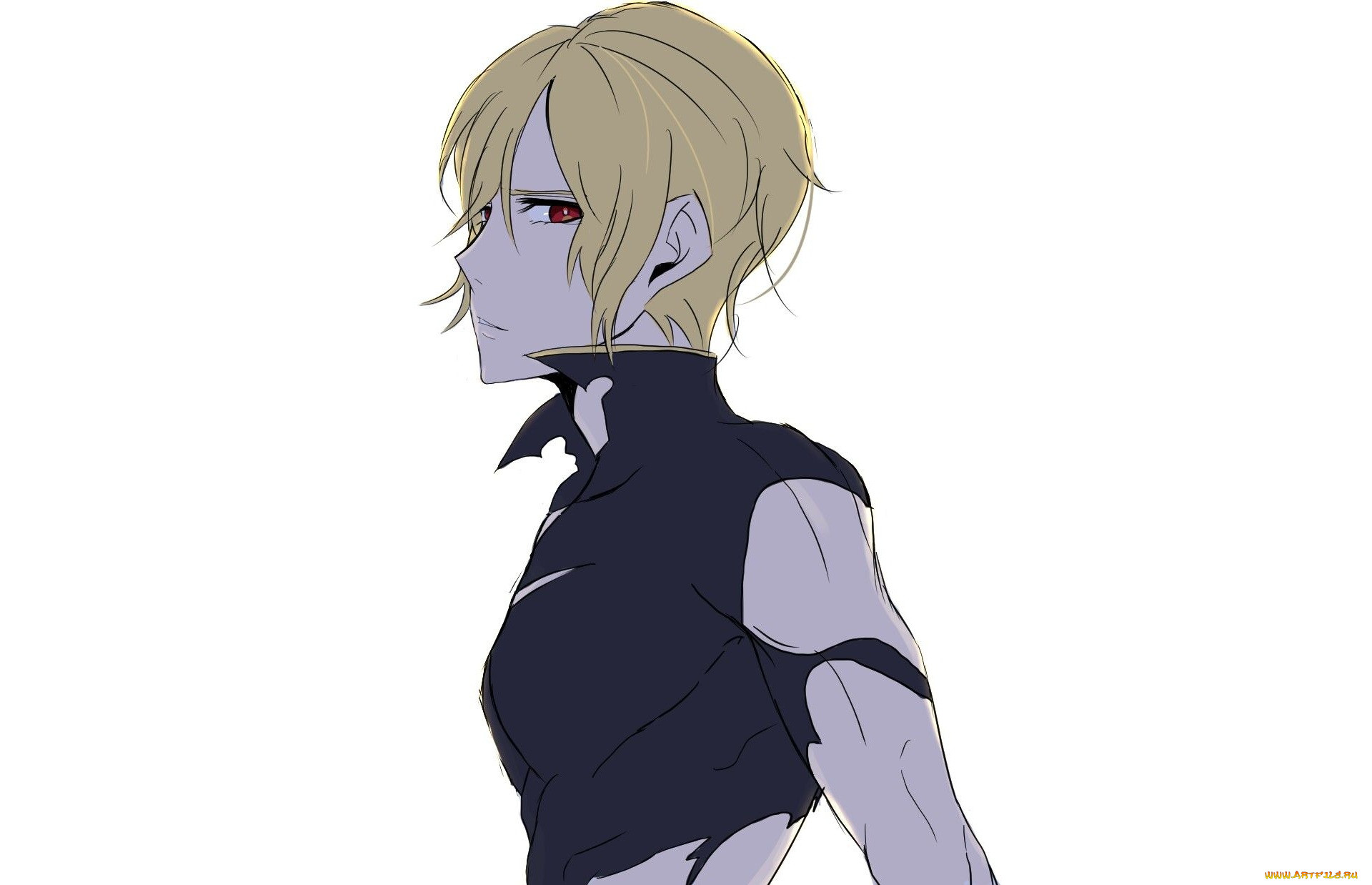 , noblesse, 